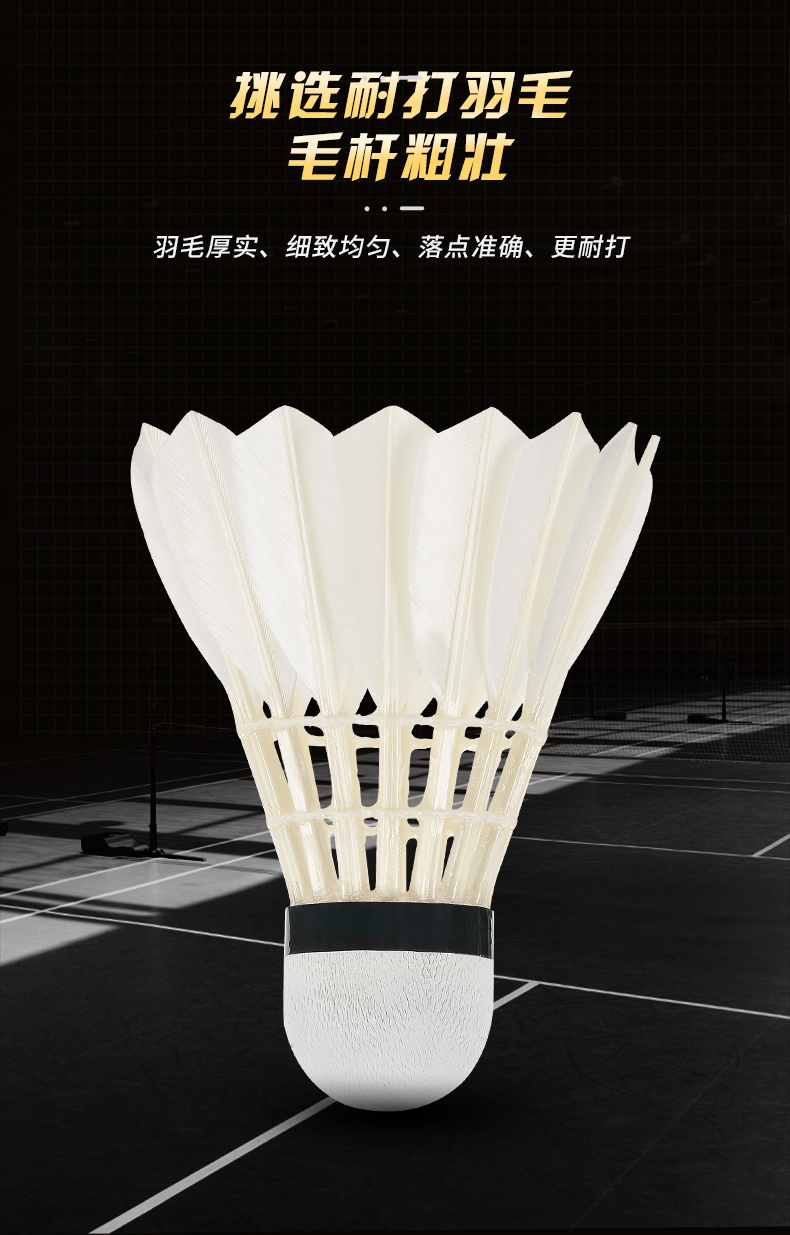 New 12PCS Professional Badmint - đánh giá và giá Badminton Victor