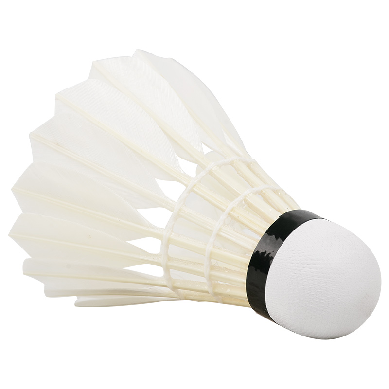 New 12PCS Professional Badmint - đánh giá và giá Badminton Victor