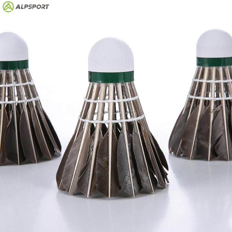 ALP 806 Badminton Shuttlecocks - đánh giá và giá Badminton Victor