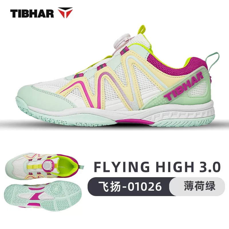 Professional Table Tennis Shoe - đánh giá và giá Badminton Vector