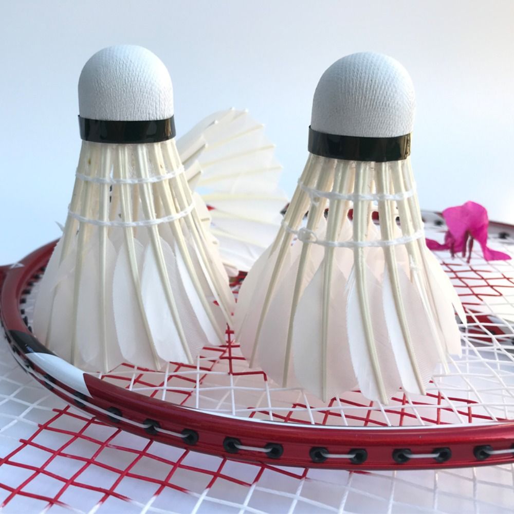 3/6/12Pcs New White Badminton  - đánh giá và giá Badminton Victor