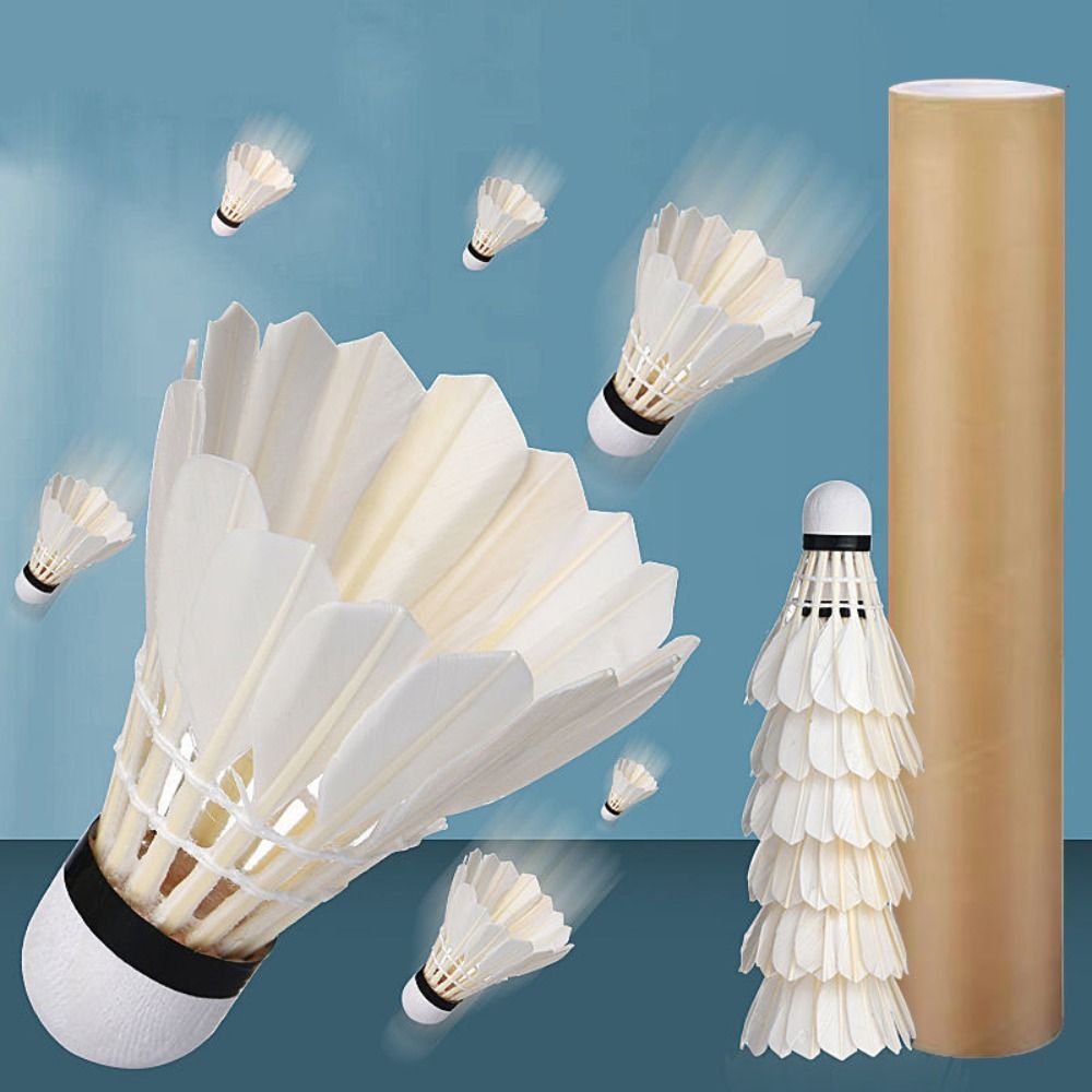 3/6/12Pcs New White Badminton  - đánh giá và giá Badminton Victor